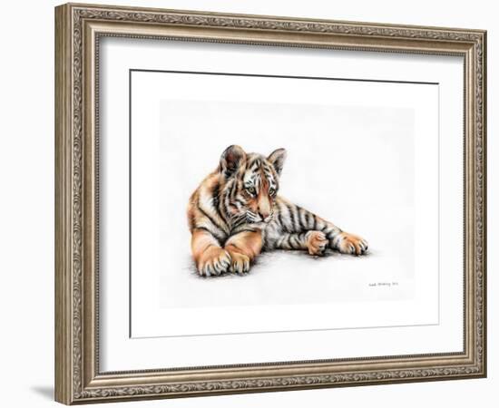 Tiger Cub Colour Pencil Drawing-Sarah Stribbling-Framed Premium Giclee Print