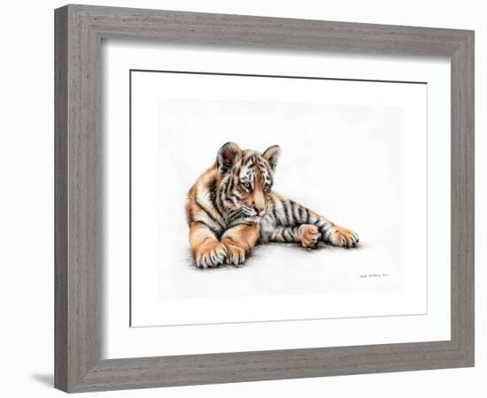 Tiger Cub Colour Pencil Drawing-Sarah Stribbling-Framed Art Print