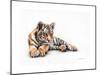 Tiger Cub Colour Pencil Drawing-Sarah Stribbling-Mounted Art Print