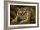 Tiger Cub-Jeremy Paul-Framed Giclee Print