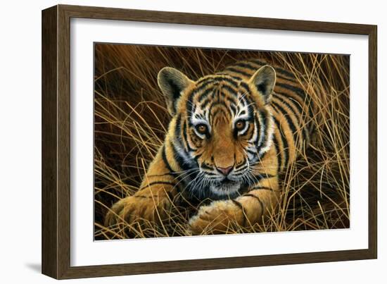 Tiger Cub-Jeremy Paul-Framed Giclee Print