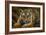 Tiger Cub-Jeremy Paul-Framed Giclee Print