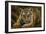 Tiger Cub-Jeremy Paul-Framed Giclee Print