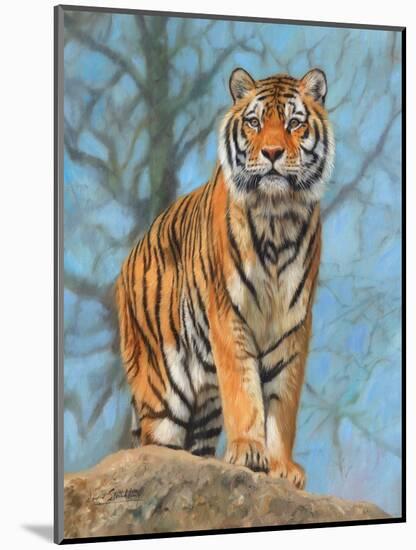 tiger dart-David Stribbling-Mounted Art Print