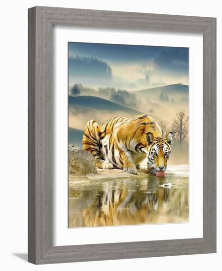 Tiger Drinking Water-Ata Alishahi-Framed Giclee Print