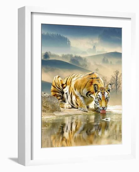 Tiger Drinking Water-Ata Alishahi-Framed Giclee Print