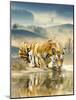Tiger Drinking Water-Ata Alishahi-Mounted Giclee Print