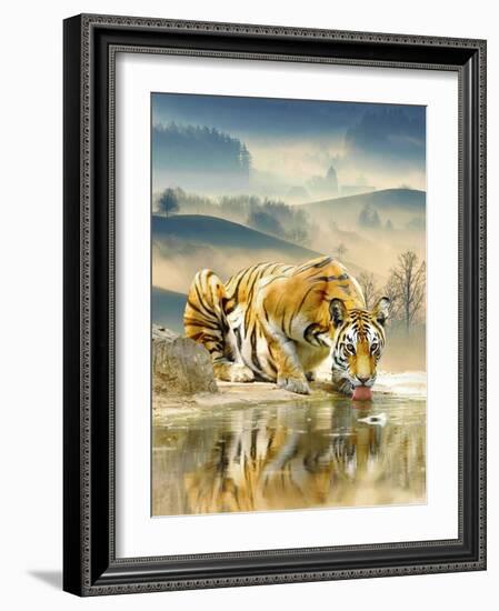 Tiger Drinking Water-Ata Alishahi-Framed Giclee Print