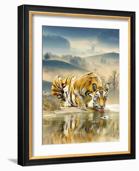 Tiger Drinking Water-Ata Alishahi-Framed Giclee Print