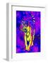 Tiger Endangered Species-Rich LaPenna-Framed Photographic Print