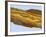 Tiger Eye Gemstone-Walter Geiersperger-Framed Photographic Print