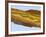 Tiger Eye Gemstone-Walter Geiersperger-Framed Photographic Print