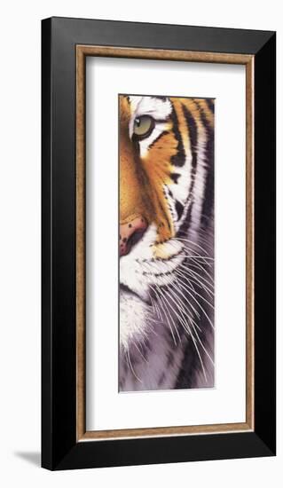 Tiger Eye-Mitch Ridder-Framed Art Print