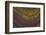 Tiger Eye-Darrell Gulin-Framed Photographic Print