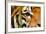 Tiger Eye-Anan Kaewkhammul-Framed Photographic Print