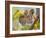 Tiger Face Portrait Amongst Foliage, Bandhavgarh National Park, India 2007-Tony Heald-Framed Photographic Print