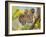 Tiger Face Portrait Amongst Foliage, Bandhavgarh National Park, India 2007-Tony Heald-Framed Photographic Print