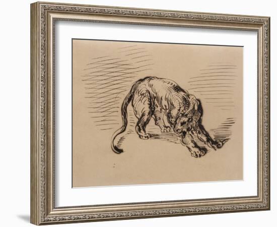 Tiger Frightened by a Snake, 1858 (Pen and Ink on Tracing Paper)-Eugene Delacroix-Framed Giclee Print