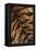 Tiger Fur-DLILLC-Framed Premier Image Canvas