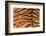 Tiger Fur-DLILLC-Framed Photographic Print