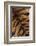 Tiger Fur-DLILLC-Framed Photographic Print