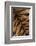 Tiger Fur-DLILLC-Framed Photographic Print