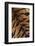 Tiger Fur-DLILLC-Framed Photographic Print