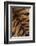 Tiger Fur-DLILLC-Framed Photographic Print