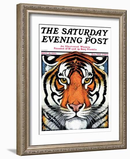 "Tiger Head," Saturday Evening Post Cover, September 18, 1926-Paul Bransom-Framed Giclee Print