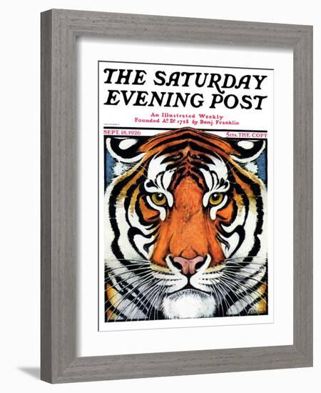 "Tiger Head," Saturday Evening Post Cover, September 18, 1926-Paul Bransom-Framed Giclee Print
