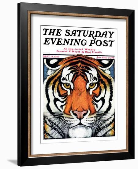 "Tiger Head," Saturday Evening Post Cover, September 18, 1926-Paul Bransom-Framed Giclee Print