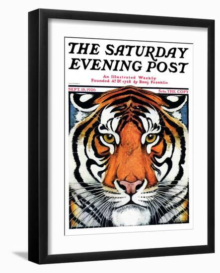 "Tiger Head," Saturday Evening Post Cover, September 18, 1926-Paul Bransom-Framed Giclee Print