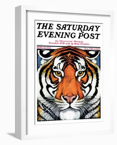 "Tiger Head," Saturday Evening Post Cover, September 18, 1926-Paul Bransom-Framed Giclee Print