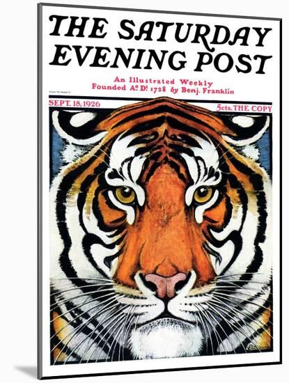 "Tiger Head," Saturday Evening Post Cover, September 18, 1926-Paul Bransom-Mounted Giclee Print