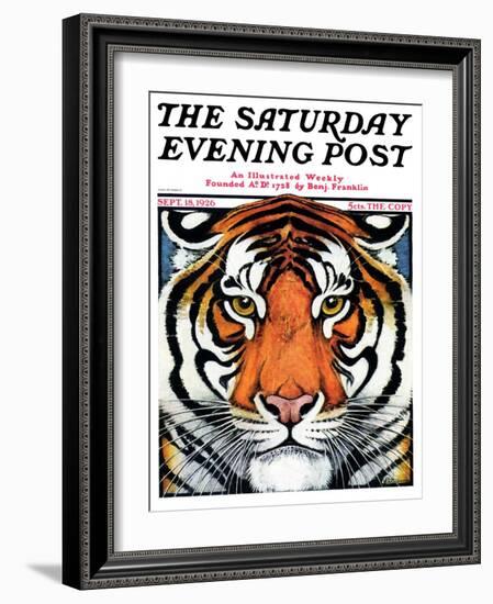 "Tiger Head," Saturday Evening Post Cover, September 18, 1926-Paul Bransom-Framed Giclee Print