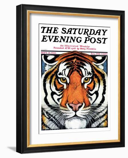 "Tiger Head," Saturday Evening Post Cover, September 18, 1926-Paul Bransom-Framed Giclee Print