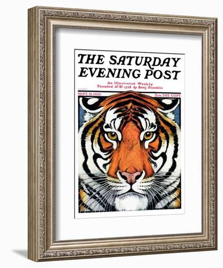 "Tiger Head," Saturday Evening Post Cover, September 18, 1926-Paul Bransom-Framed Giclee Print