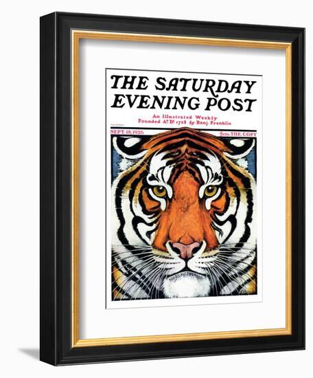 "Tiger Head," Saturday Evening Post Cover, September 18, 1926-Paul Bransom-Framed Giclee Print