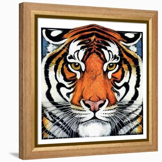 "Tiger Head,"September 18, 1926-Paul Bransom-Framed Premier Image Canvas