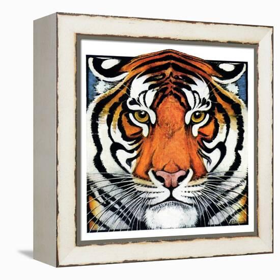 "Tiger Head,"September 18, 1926-Paul Bransom-Framed Premier Image Canvas