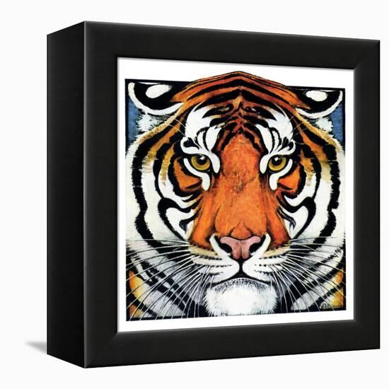 "Tiger Head,"September 18, 1926-Paul Bransom-Framed Premier Image Canvas