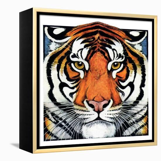 "Tiger Head,"September 18, 1926-Paul Bransom-Framed Premier Image Canvas