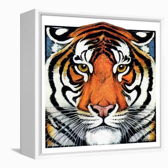 "Tiger Head,"September 18, 1926-Paul Bransom-Framed Premier Image Canvas