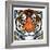 "Tiger Head,"September 18, 1926-Paul Bransom-Framed Giclee Print