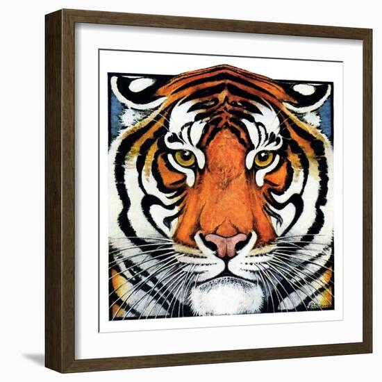 "Tiger Head,"September 18, 1926-Paul Bransom-Framed Giclee Print