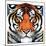 "Tiger Head,"September 18, 1926-Paul Bransom-Mounted Giclee Print