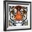 "Tiger Head,"September 18, 1926-Paul Bransom-Framed Giclee Print