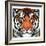 "Tiger Head,"September 18, 1926-Paul Bransom-Framed Giclee Print