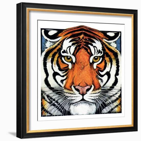 "Tiger Head,"September 18, 1926-Paul Bransom-Framed Giclee Print