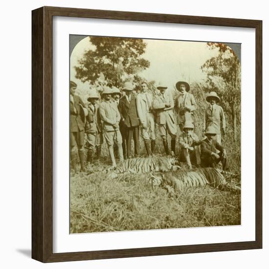 Tiger Hunting, Cooch Behar, West Bengal, India, C1900s-Underwood & Underwood-Framed Photographic Print